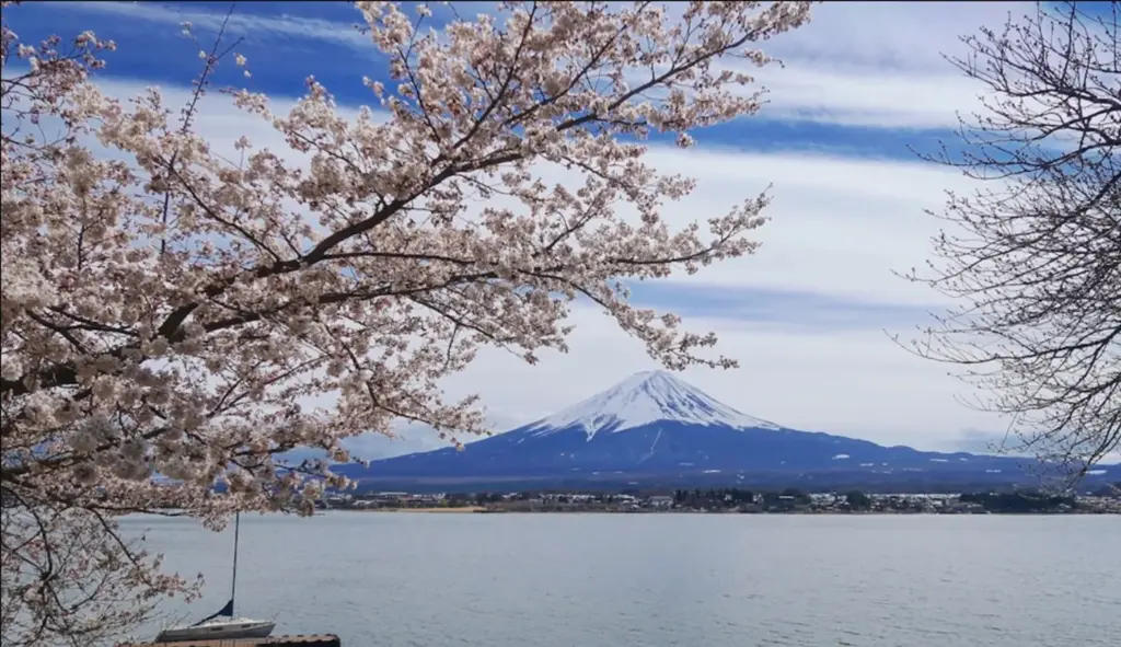 Lake Kawaguchiko