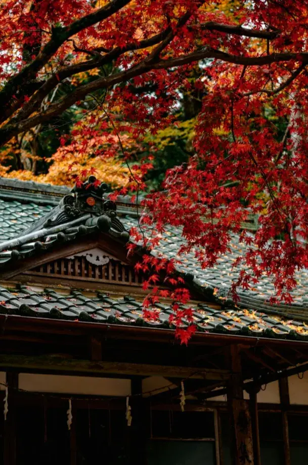 Nikko temples and autumn foliage