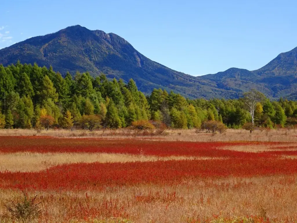 Senjogahara Marshland
